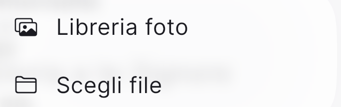 Il menu immagine: Libreria foto e Scegli file