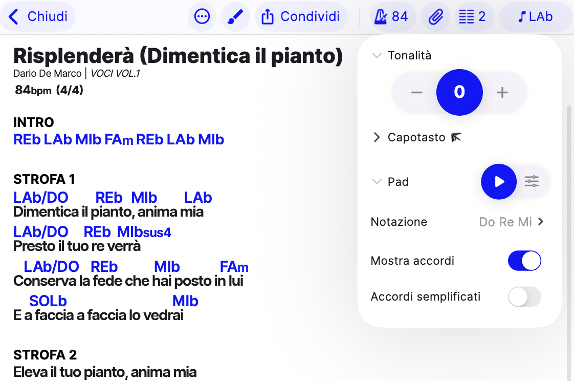 Sezione Pad nelle impostazioni della tonalità